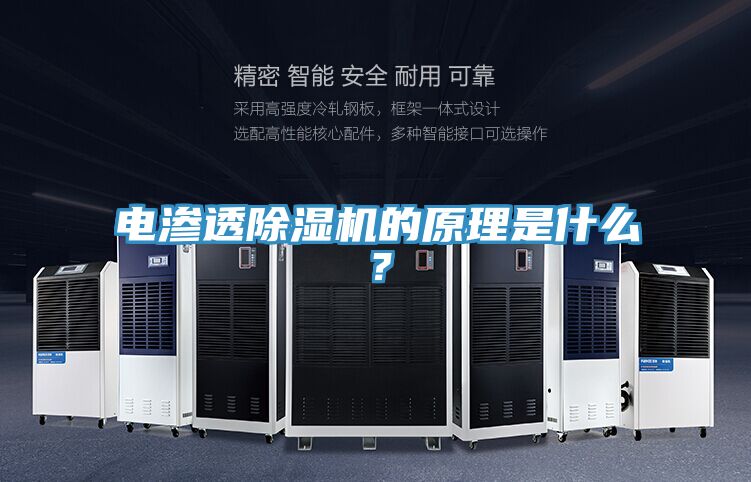 電滲透91看片软件大全的原理是什麽？