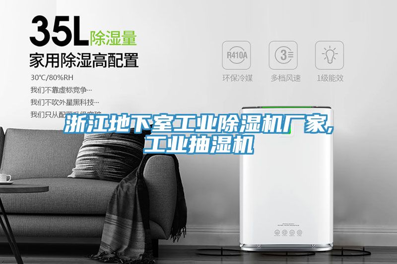 浙江地下室工業91看片软件大全廠家,工業抽濕機
