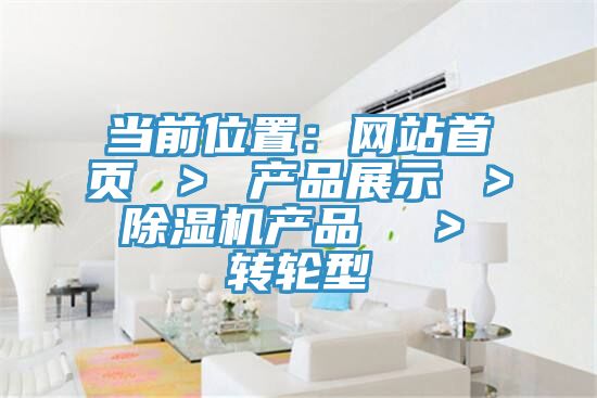當前位置：網站首頁 ＞ 產品展示 ＞ 91看片软件大全產品  ＞ 轉輪型