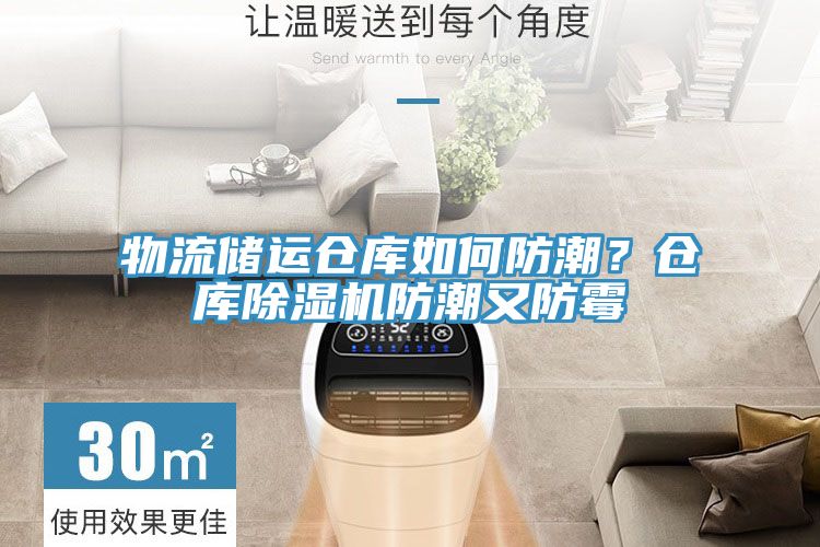 物流儲運倉庫如何防潮？倉庫91看片软件大全防潮又防黴