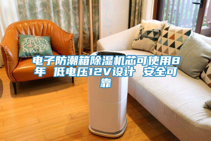 電子防潮箱91看片软件大全芯可使用8年 低電壓12V設計 安全可靠