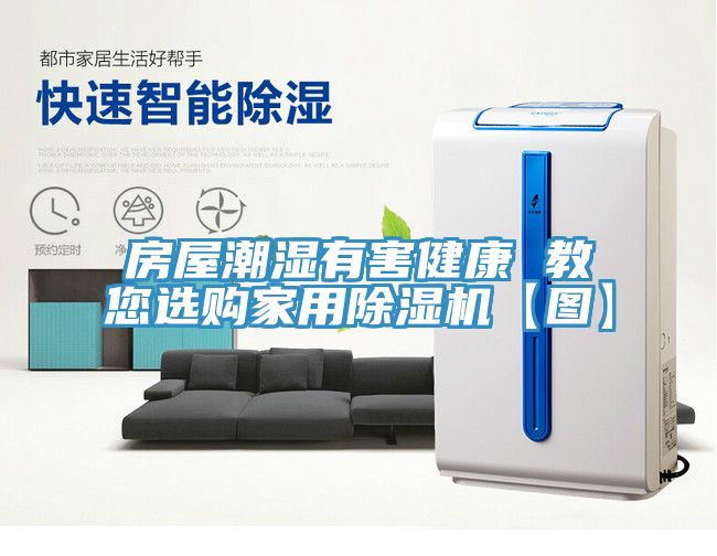 房屋潮濕有害健康 教您選購家用91看片软件大全【圖】