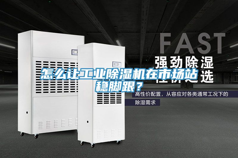 怎麽讓工業91看片软件大全在市場站穩腳跟？