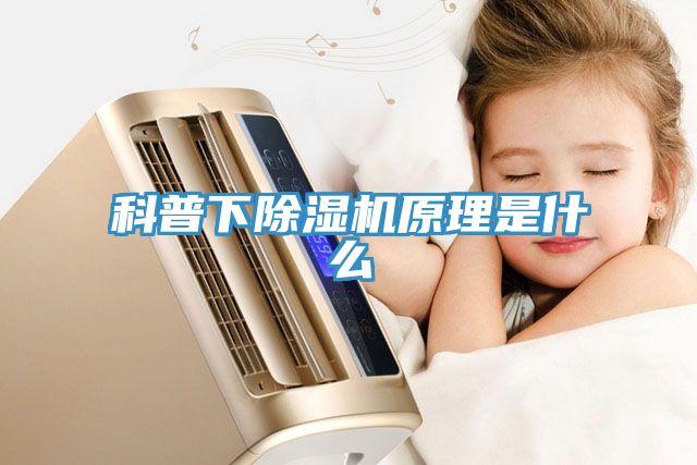 科普下91看片软件大全原理是什麽