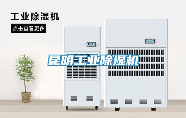 昆明工業91看片软件大全