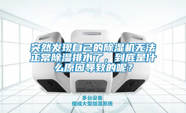 突然發現自己的91看片软件大全無法正常除濕排水了，到底是什麽原因導致的呢？