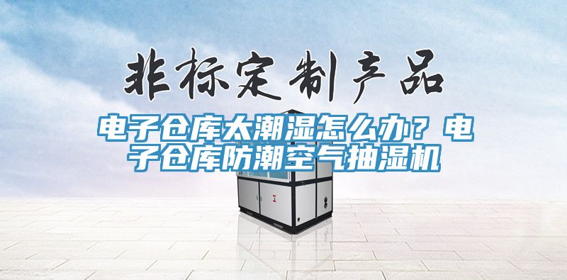電子倉庫太潮濕怎麽辦？電子倉庫防潮空氣抽濕機