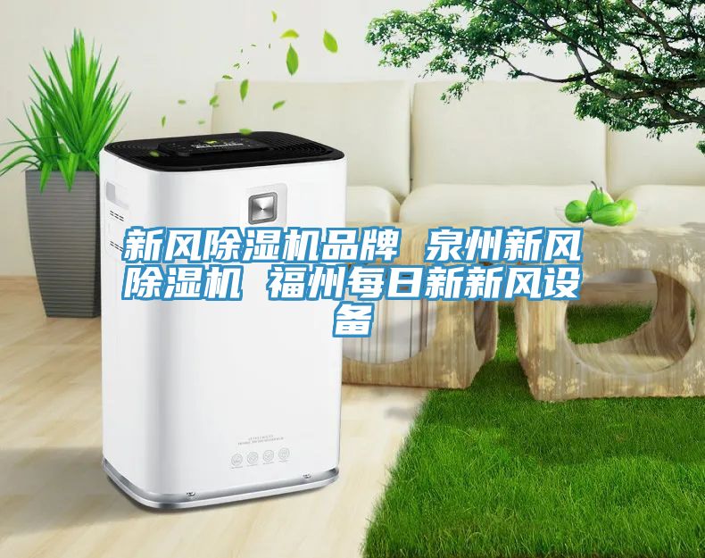 新風91看片软件大全品牌 泉州新風91看片软件大全 福州每日新新風設備