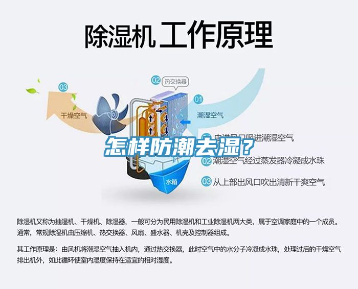 怎樣防潮去濕？