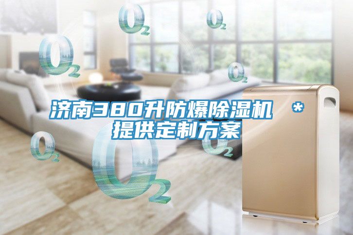 濟南380升防爆91看片软件大全 ＊提供定製方案