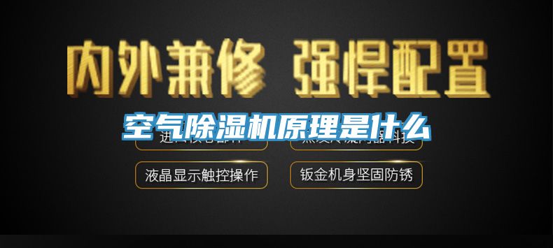 空氣91看片软件大全原理是什麽