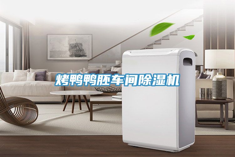 烤鴨鴨胚車間91看片软件大全