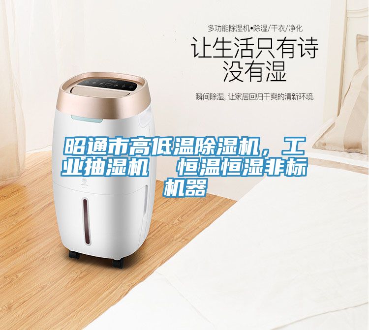 昭通市高低溫91看片软件大全，工業抽濕機  恒溫恒濕非標機器