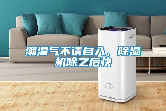 潮濕氣不請自入，91看片软件大全除之後快