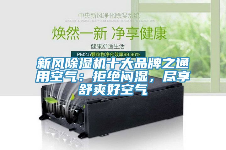 新風91看片软件大全十大品牌之通用空氣：拒絕悶濕，盡享舒爽好空氣