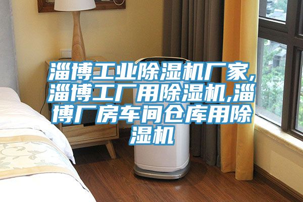 淄博工業91看片软件大全廠家,淄博工廠用91看片软件大全,淄博廠房車間倉庫用91看片软件大全