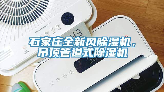 石家莊全新風91看片软件大全，吊頂管道式91看片软件大全
