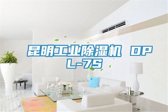 昆明工業91看片软件大全 DPL-7S