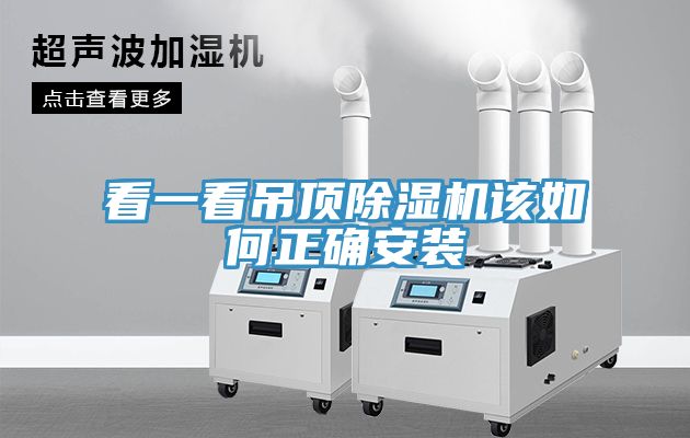看一看吊頂91看片软件大全該如何正確安裝
