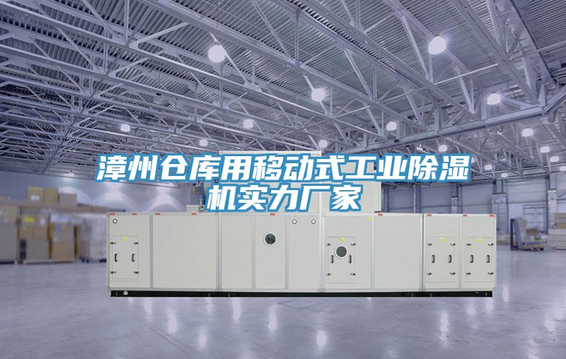 漳州倉庫用移動式工業91看片软件大全實力廠家