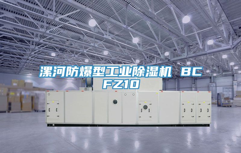 漯河防爆型工業91看片软件大全 BCFZ10