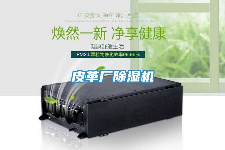皮革廠91看片软件大全