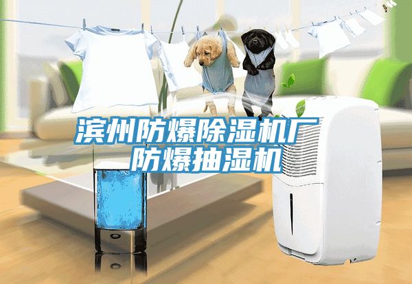 濱州防爆91看片软件大全廠 防爆抽濕機