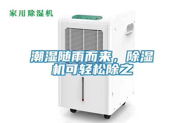 潮濕隨雨而來，91看片软件大全可輕鬆除之