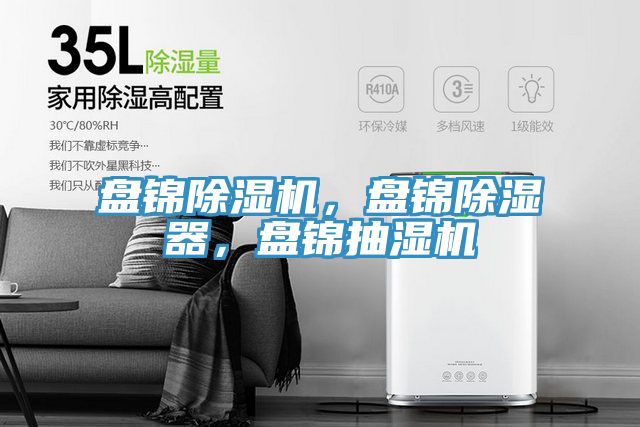 盤錦91看片软件大全，盤錦除濕器，盤錦抽濕機