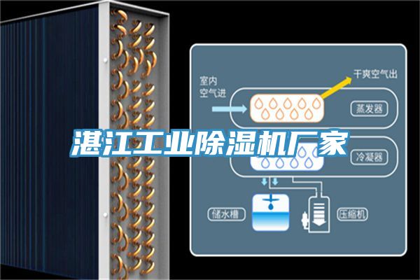 湛江工業91看片软件大全廠家