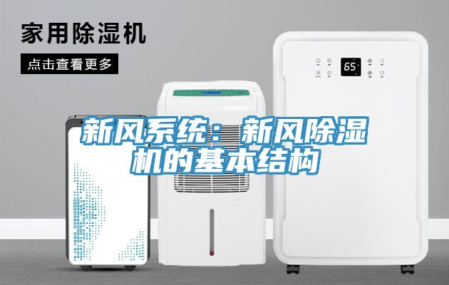 新風係統：新風91看片软件大全的基本結構