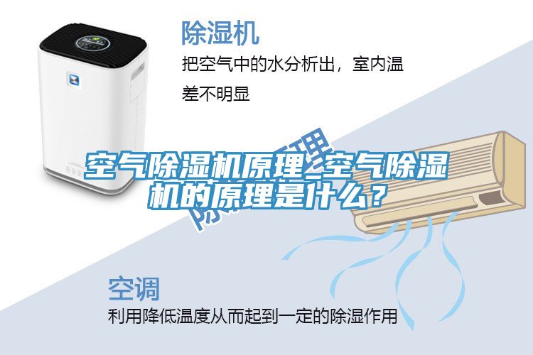 空氣91看片软件大全原理_空氣91看片软件大全的原理是什麽？