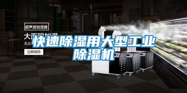 快速除濕用大型工業91看片软件大全