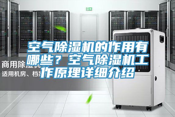 空氣91看片软件大全的作用有哪些？空氣91看片软件大全工作原理詳細介紹
