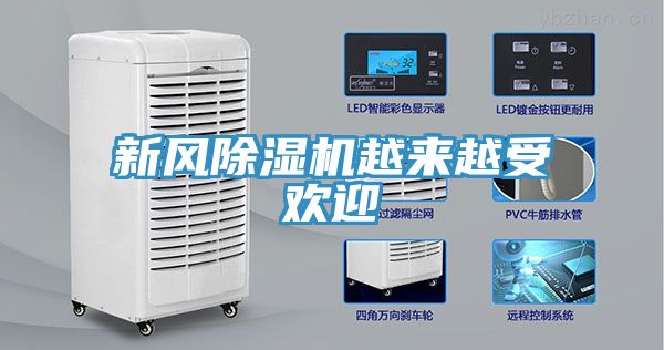 新風91看片软件大全越來越受歡迎