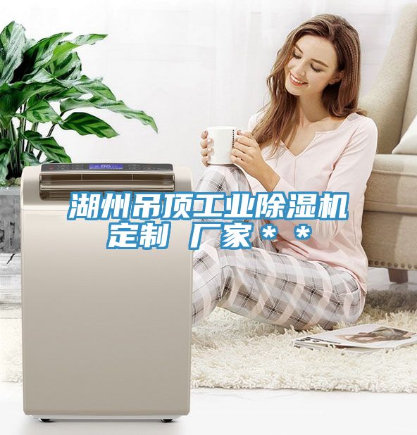 湖州吊頂工業91看片软件大全定製 廠家＊＊
