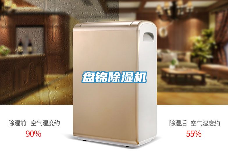 盤錦91看片软件大全