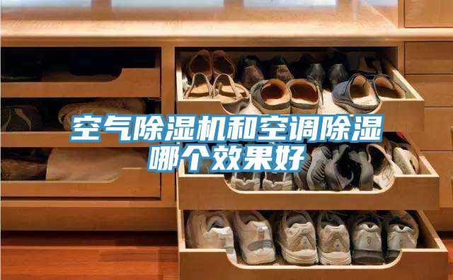 空氣91看片软件大全和空調除濕哪個效果好