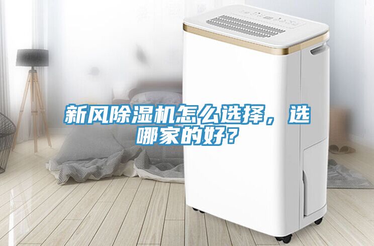 新風91看片软件大全怎麽選擇，選哪家的好？