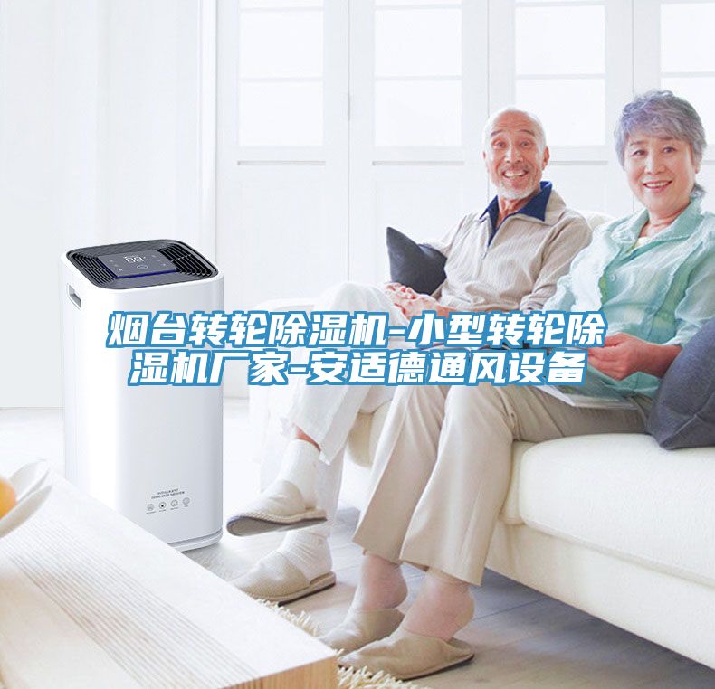 煙台轉輪91看片软件大全-小型轉輪91看片软件大全廠家-安適德通風設備