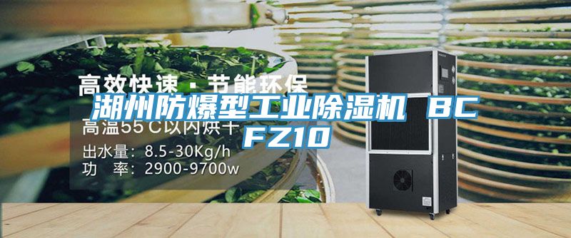 湖州防爆型工業91看片软件大全 BCFZ10