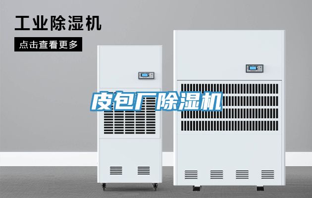 皮包廠91看片软件大全