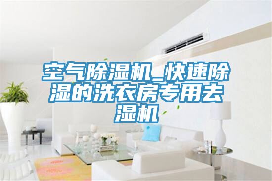 空氣91看片软件大全_快速除濕的洗衣房專用去濕機
