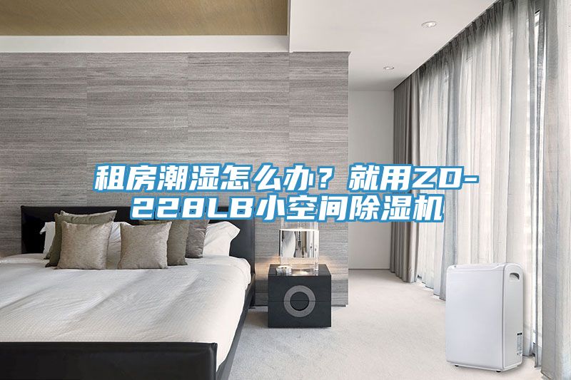租房潮濕怎麽辦？就用ZD-228LB小空間91看片软件大全