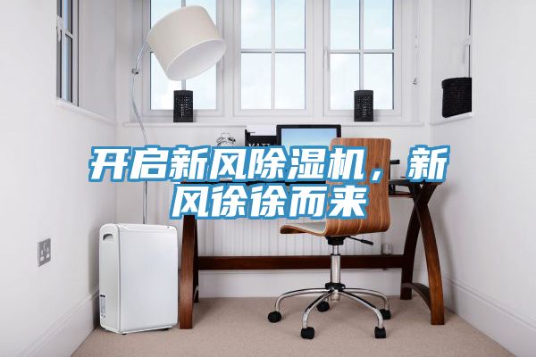 開啟新風91看片软件大全，新風徐徐而來