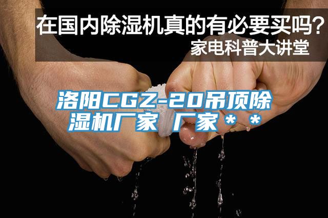 洛陽CGZ-20吊頂91看片软件大全廠家 廠家＊＊