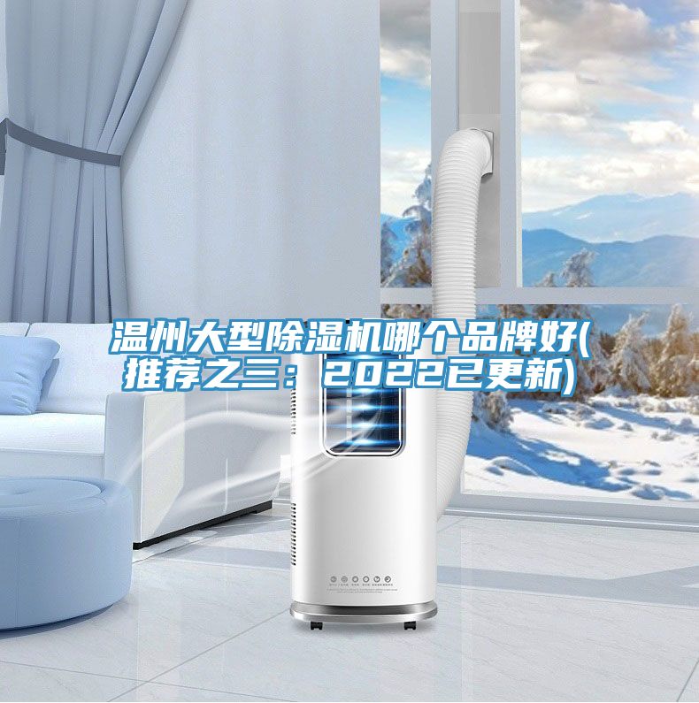 溫州大型91看片软件大全哪個品牌好(推薦之三：2022已更新)