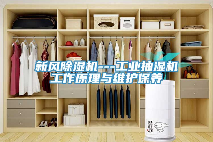 新風91看片软件大全---工業抽濕機工作原理與維護保養