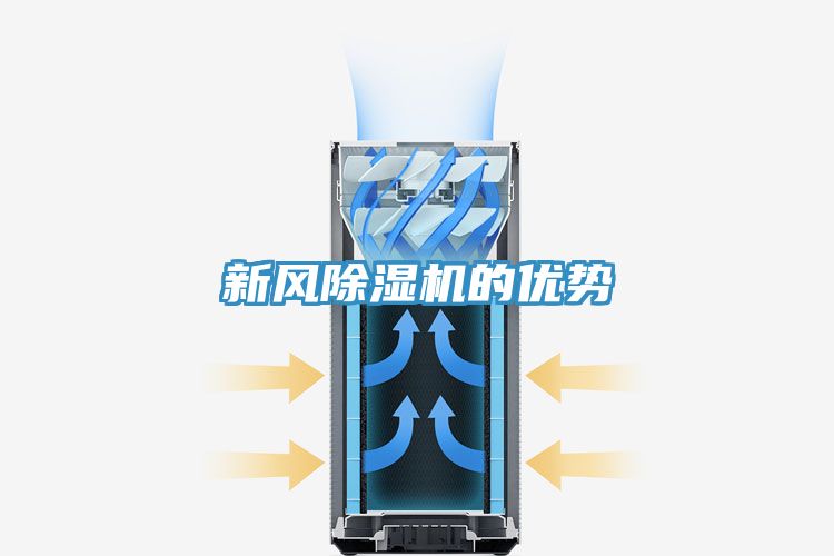 新風91看片软件大全的優勢