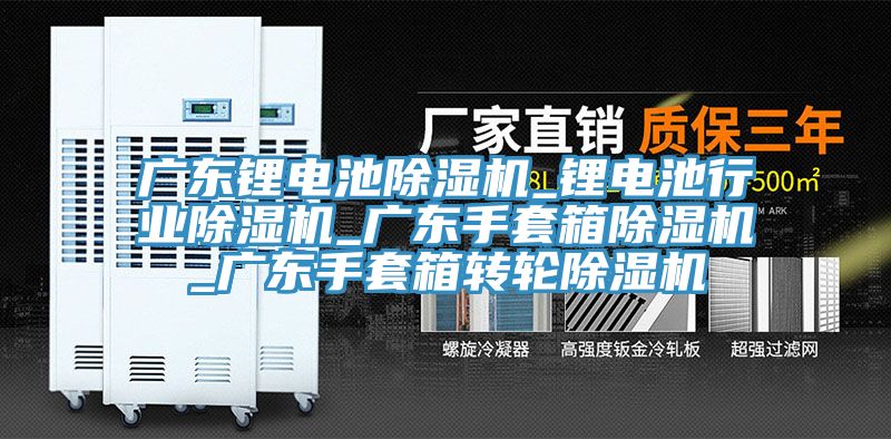 廣東鋰電池91看片软件大全_鋰電池行業91看片软件大全_廣東手套箱91看片软件大全_廣東手套箱轉輪91看片软件大全
